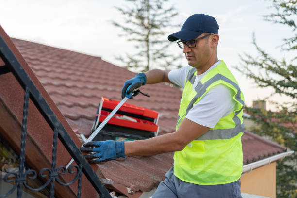 Best Attic Insulation Installation  in , AZ